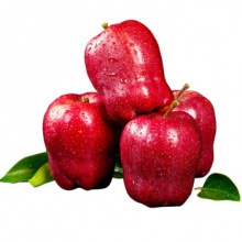 鲁韵忆乡 甘肃天水花牛粉面苹果5斤 蛇果沙甜婴儿刮泥苹果 新鲜当季水果