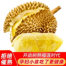 泰国榴莲金枕头水果 自然树熟榴莲3.5-4.5斤(AAA级1个装)